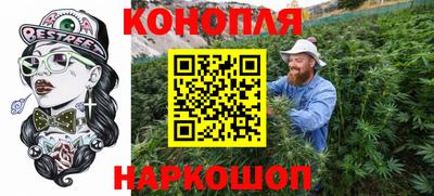 наркотики Кингисепп