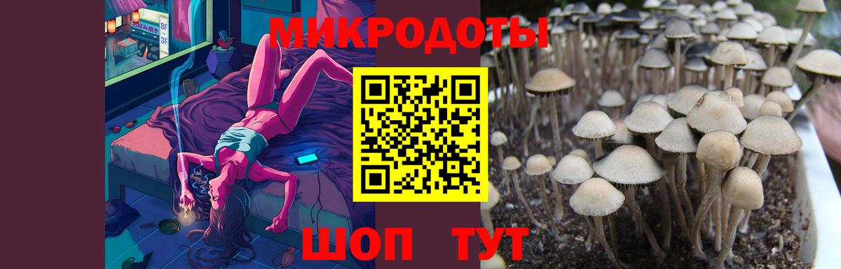 Галлюциногенные грибы GOLDEN TEACHER Краснодар